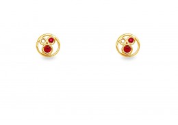 9ct Yellow Gold Ruby & Diamond Stud Earrings
