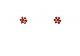 9ct Gold Ruby Earrings