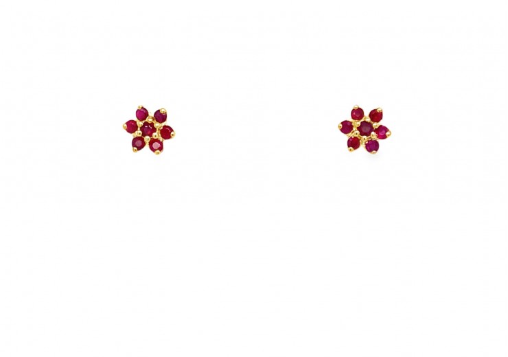 9ct Gold Ruby Earrings