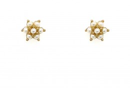 9ct Yellow Gold Pearl Stud Earrings