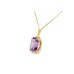 Pre-owned 9ct Yellow Gold & Amethyst Necklace