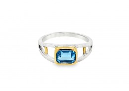 9ct White Gold Blue Topaz Ring