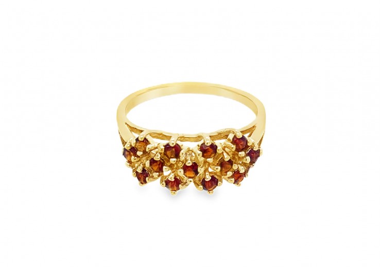 Pre-owned 9ct Yellow Gold & Garnet Ring