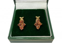 Pre-owned 9ct Yellow Gold Gem Set Stud Earrings